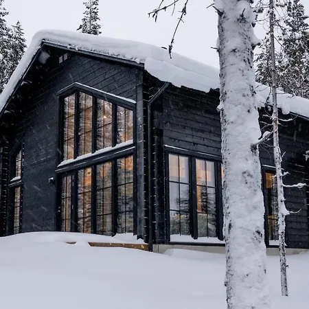 Black Work Levi Aarni Kittilä Exterior photo